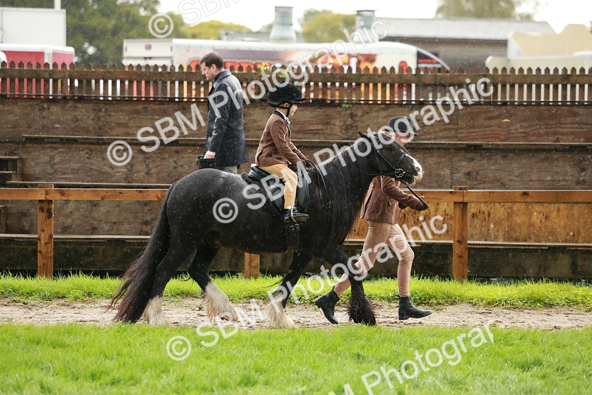 SBM_33673 - S9 - Lead Rein Equitation
