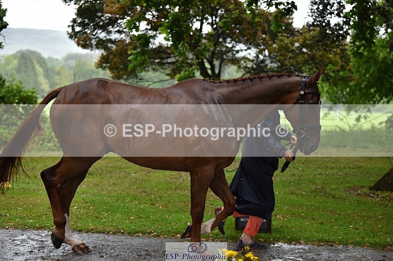 240522-153236-00417 - 363-FORTHRIGHT-Matthew_Glentworth