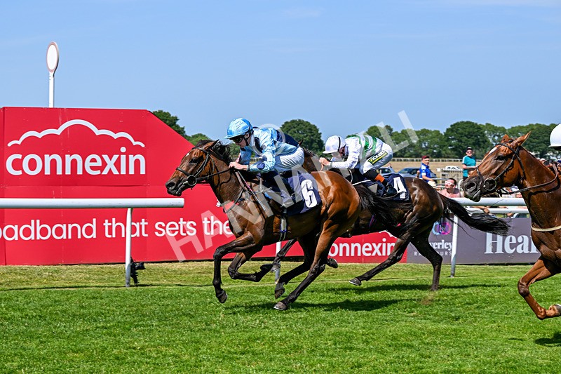 230626-Race 3-Tamzan-0701 - Race 3 15.15pm Big Racing Weekender Next 3 And 4 July Restricted Maiden Stakes