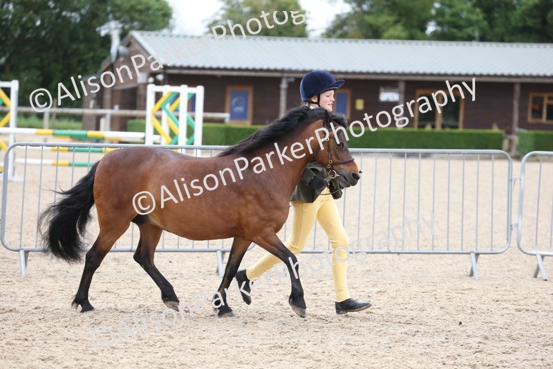 20250524-0829 - Class 7 - Veteran