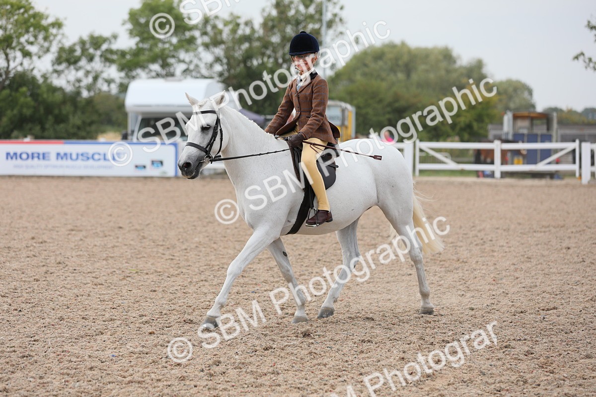 SBM_16879 - Class 314 Family Horse/Pony