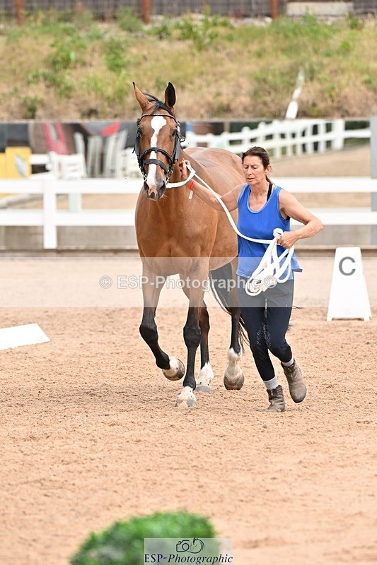 250716-144436-01350 - Trot Up 2.30 to 3.30