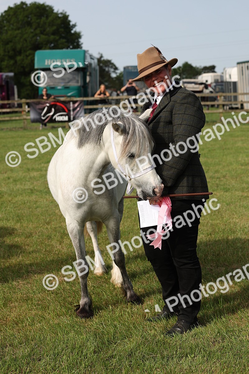 SBM_00596 - Class 6-13 - Mountatin and Moorland In Hand Welsh Breeds