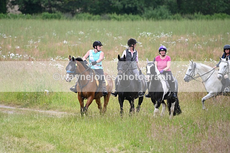 WJ6_8334 - Camera 1 Gallops