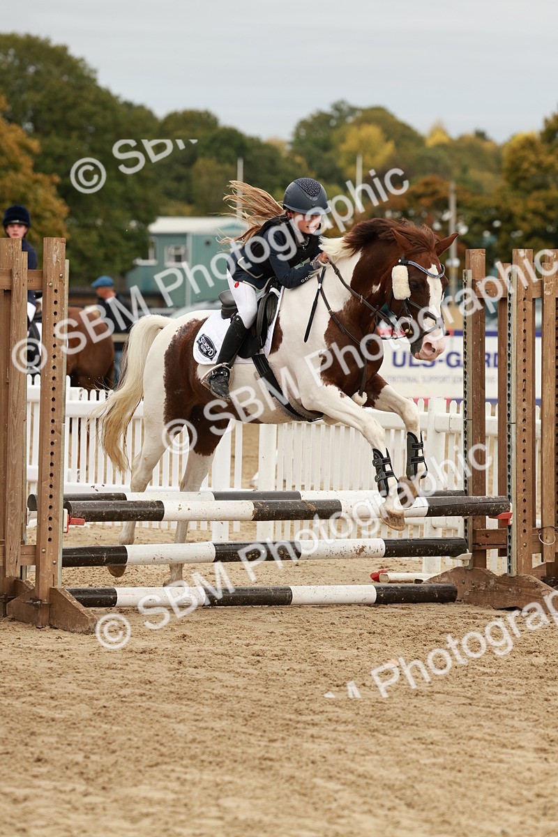 SBM_66874 - J13 - Junior Pony 60cm Championship