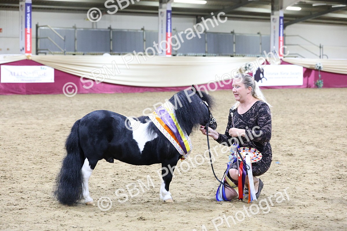 SBM_21117 - Class P - M&M Champs