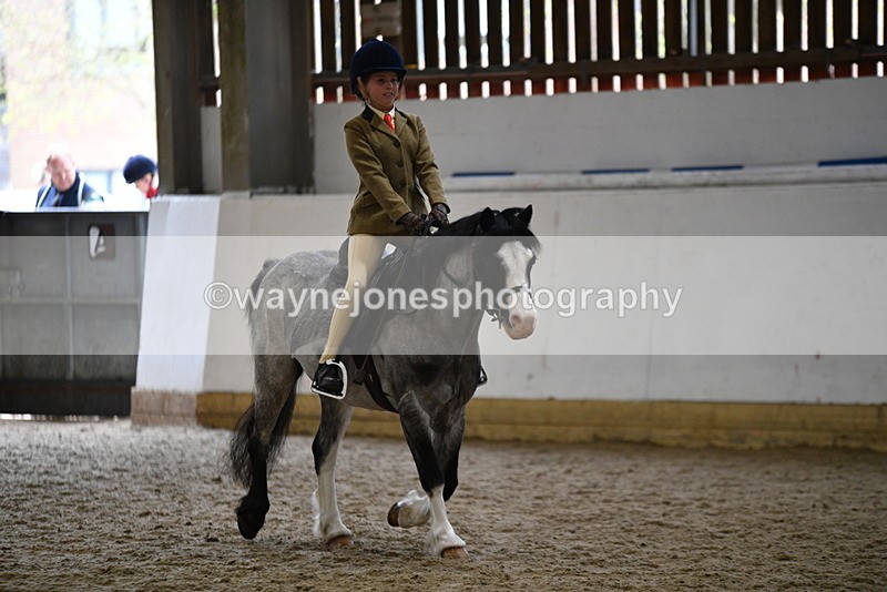 WJ5_6881 - Class 10 Childs Pony