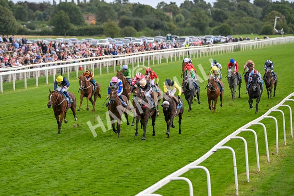 220824-Race 7-Alfa Kellenic-8051 - Race 7 5.20pm British EBF Fillies' Handicap
