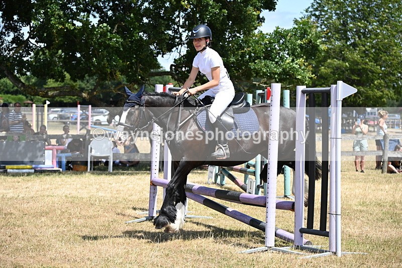 WJ6_5968 - Class 13 Novice 60cm
