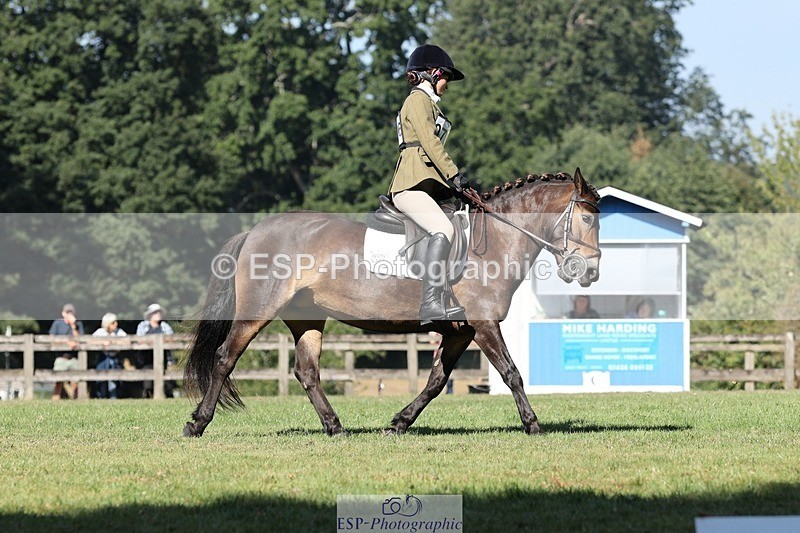 250823A-103253-27726 - Arena D