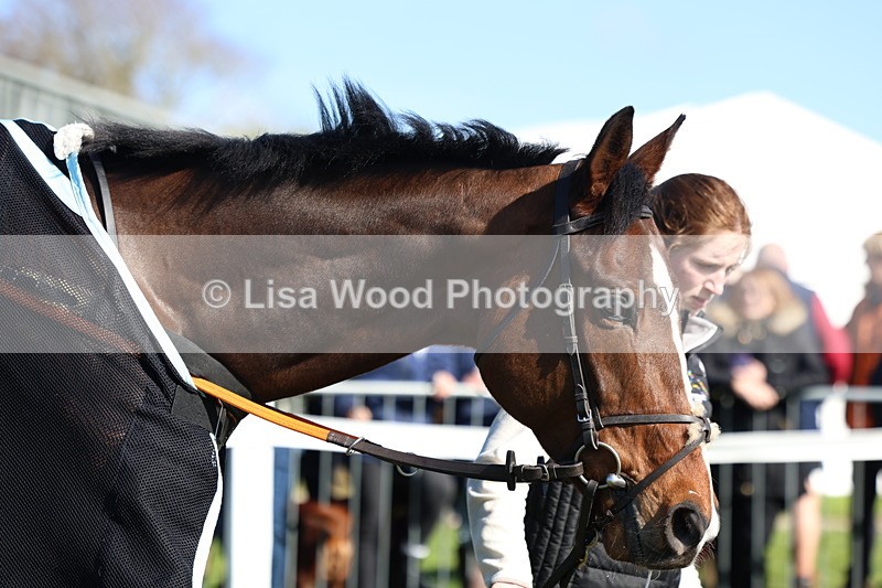 3E7A5631 - Race 6: Maiden (NWFAA)