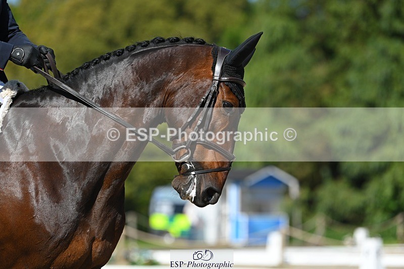 230526-162823-07386 - 257-TURBO-Isabelle_Cook-WEDTrotUp+DR