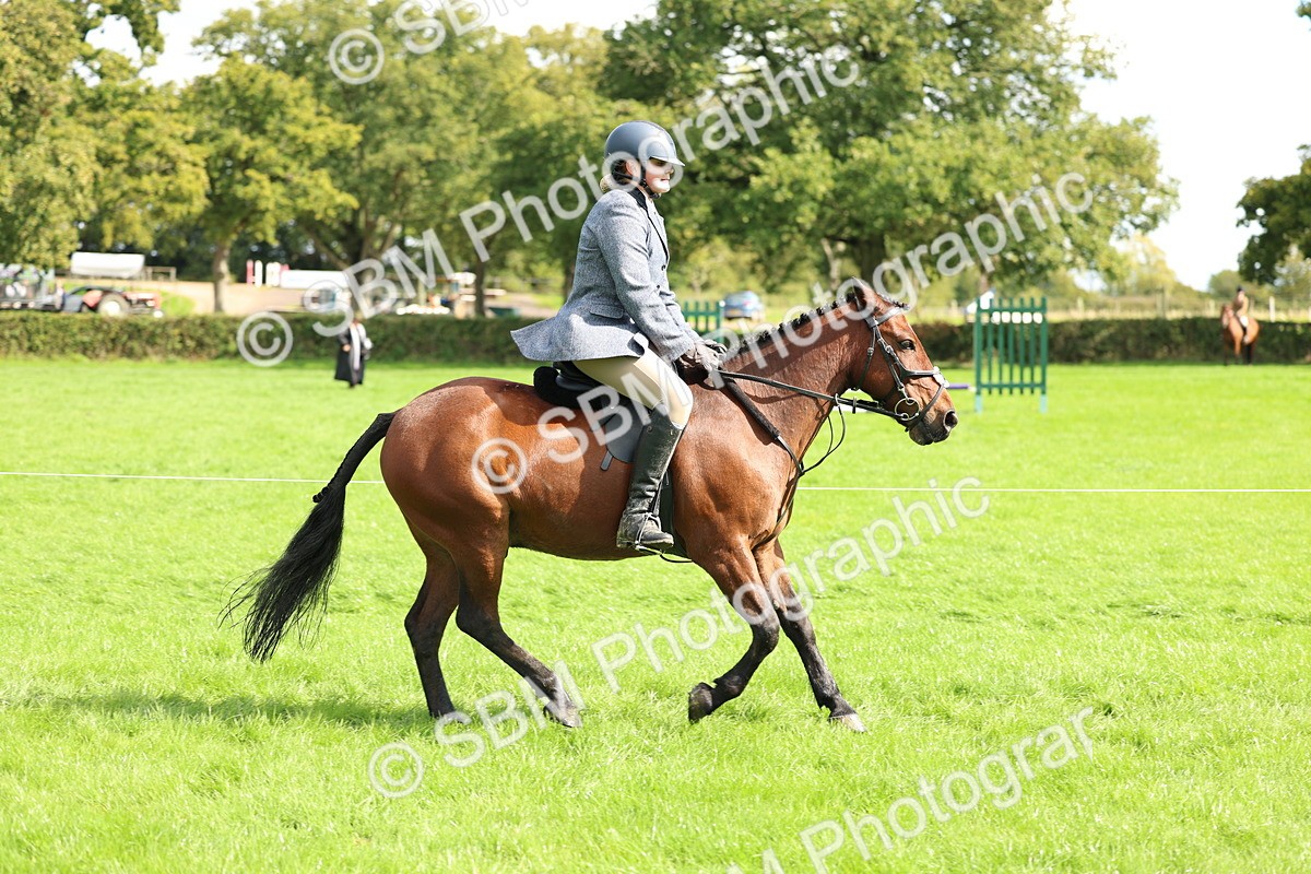 SBM_45416 - S33 - Working Hunter Pony