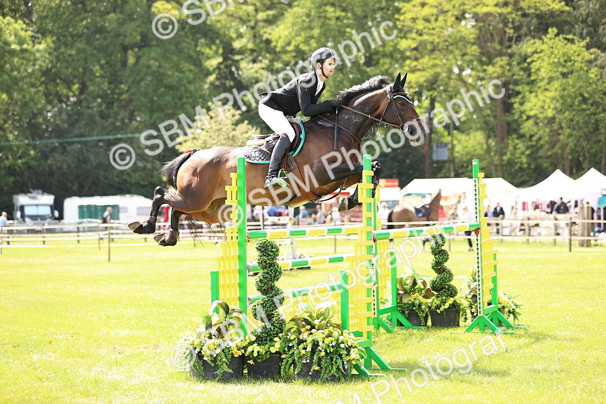 SBM_03145 - Class 201 - British Horse Feedds Speedi Beet HOYS Grade C