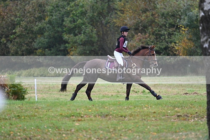 WJ7_1482 - 80cm Cam 2 Water Time 11:47 to 12:17