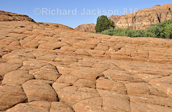 Cross-bedded Sandstone - Zion National Pk. -  2012
