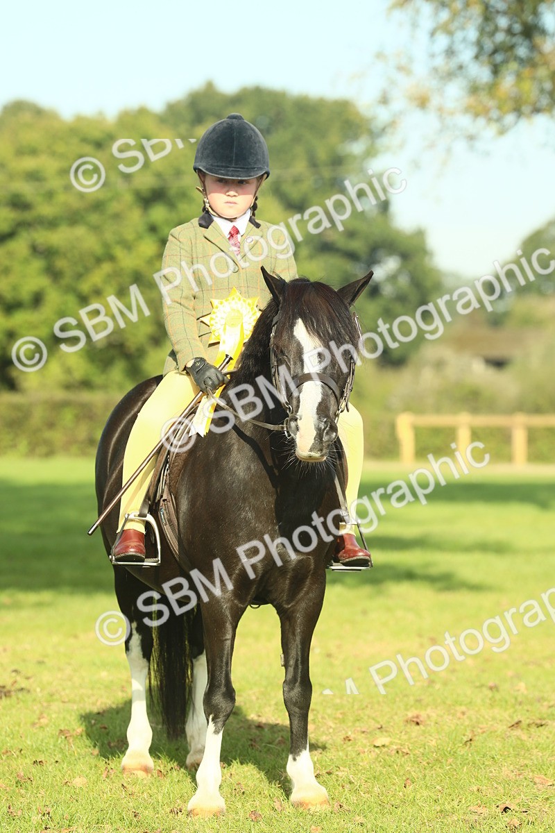 SBM_59272 - S38 - Starters Ridden Showing