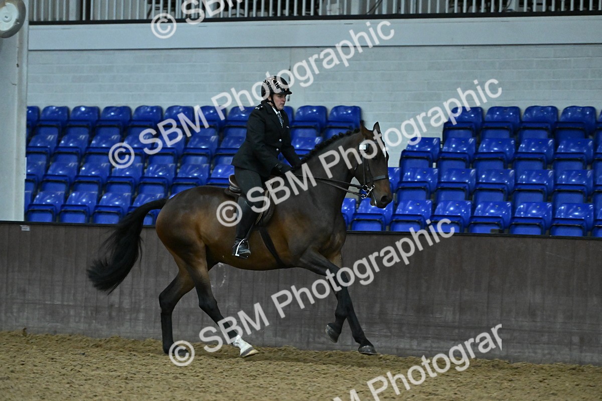 SBM_002083 - Class 23 - BSHA Ridden Show Hunter