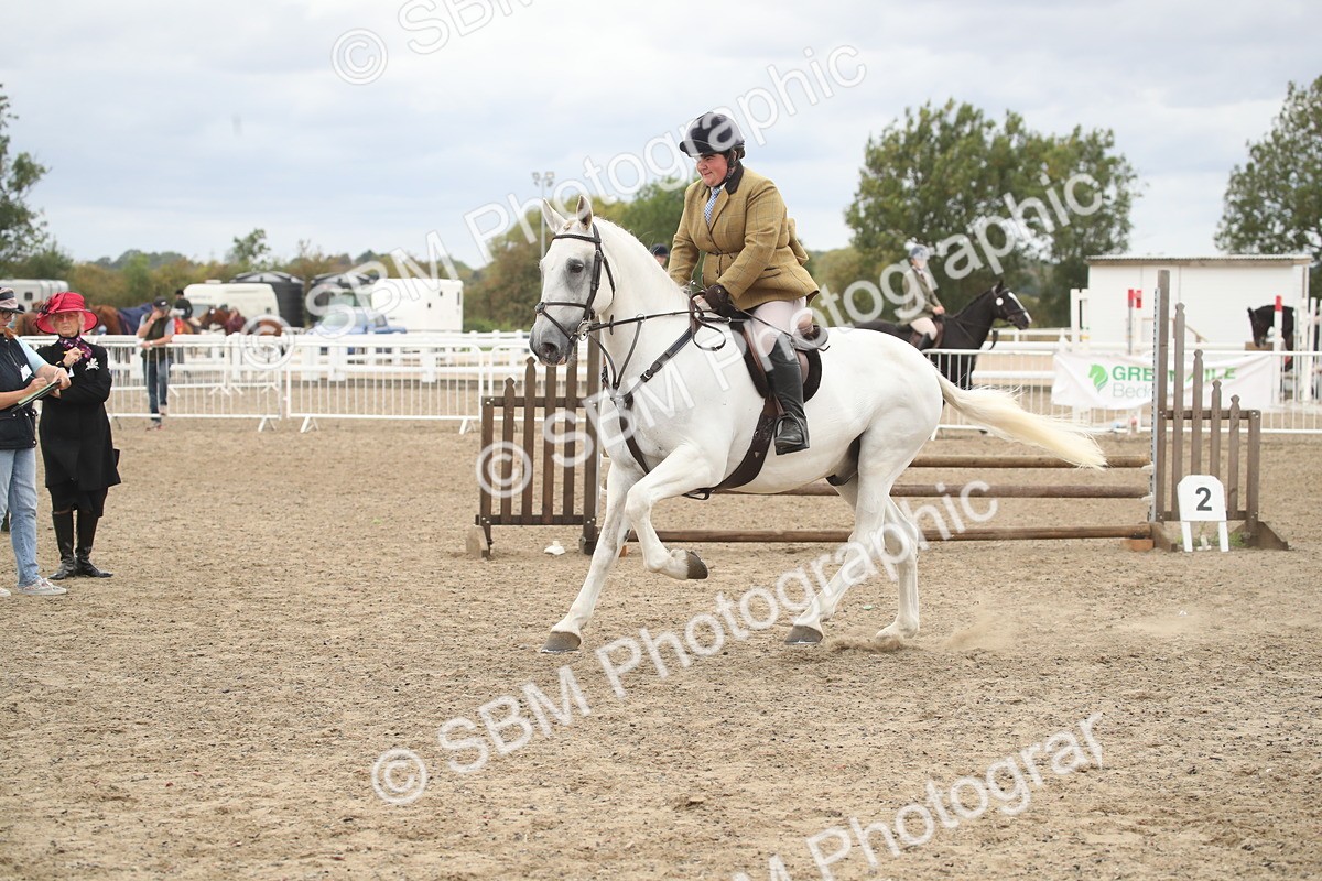 SBM_18260 - Class 509a - Working Veteran - 80cm (15-19)