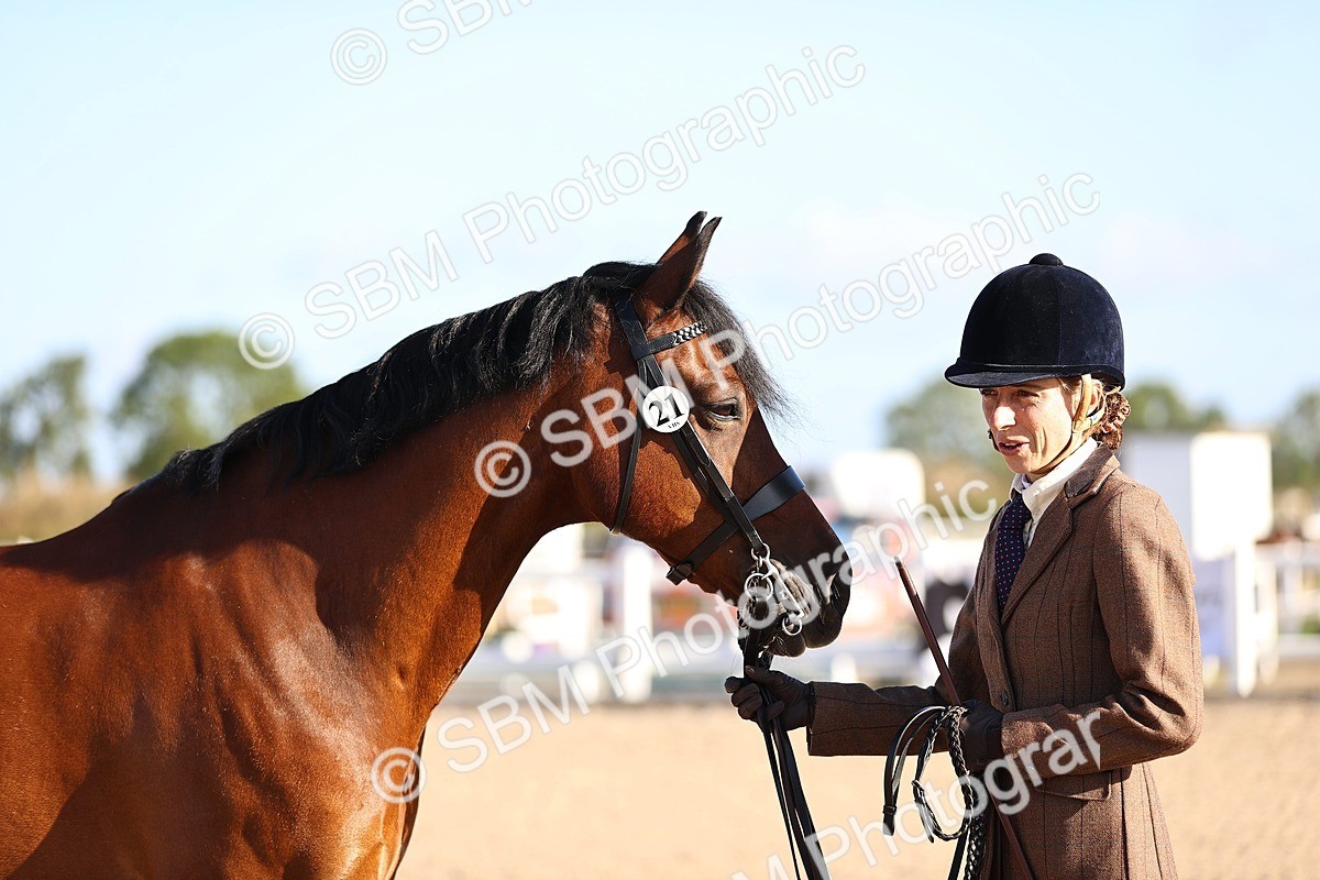SBM_08478 - Class 402 - IH Veteran Pony