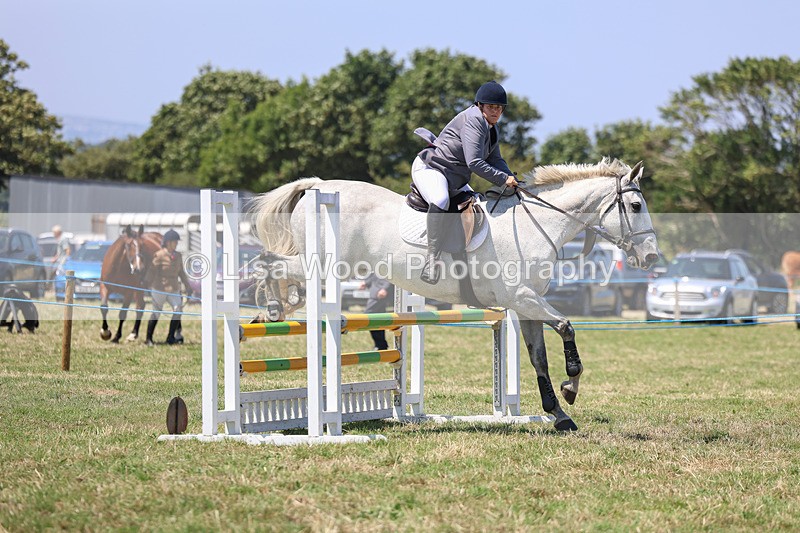 3E7A4382 - Class 10: Senior British Novice/90cm open