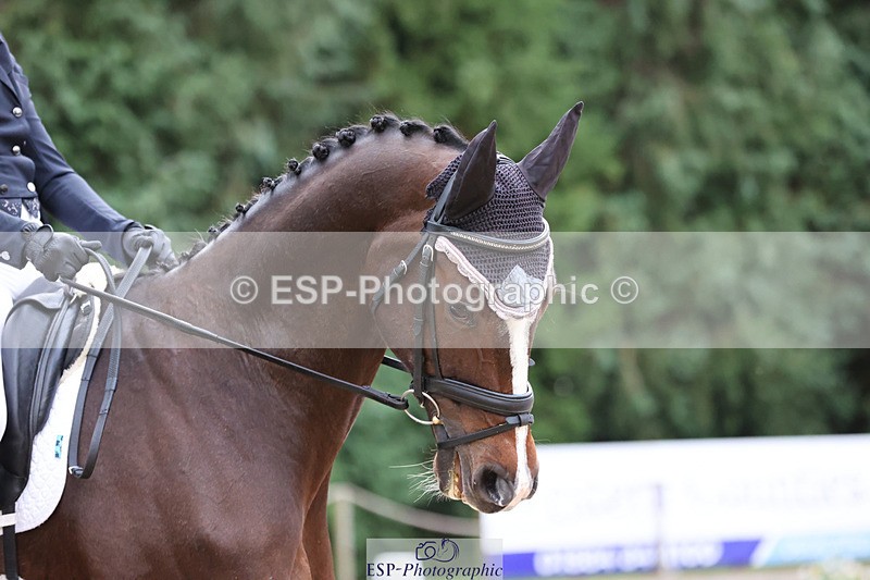 241024-090557-01211 - 202-Toots.Bartlett-C.WHY