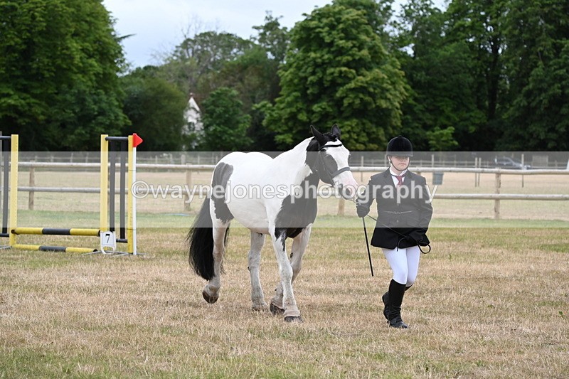 WJ6_4362 - Class 10 Coloured In-hand