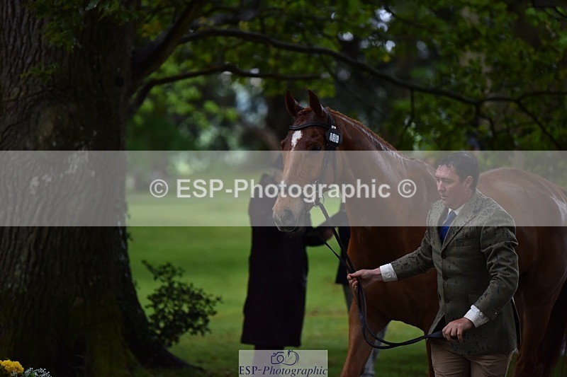 240522-152654-00346 - 356-CREEVAGHSTABLES_IFICUDIWUD-Tim_Cheffings