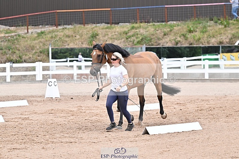 250716-134222-00650 - Trot Up 1.30 to 2.30