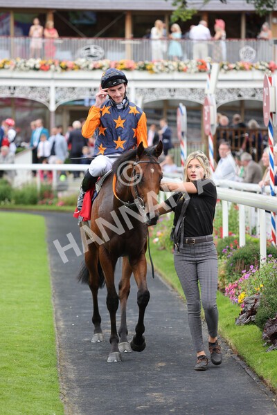 yr19082021r2-31 - Race 2 2.25pm Goffs UK Premier Yearling Stakes