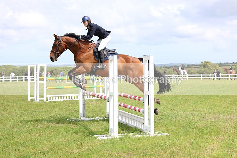 3E7A7530 - Class 13: Senior British Novice/90cm open