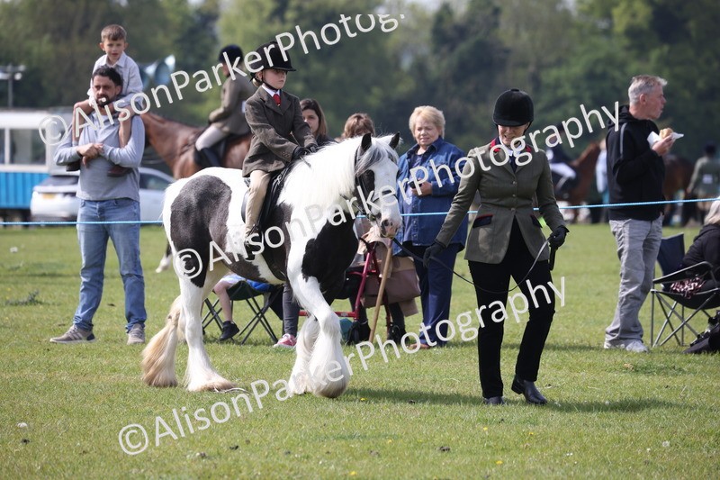 20260426-2554 - Class 31 - Leading Rein
