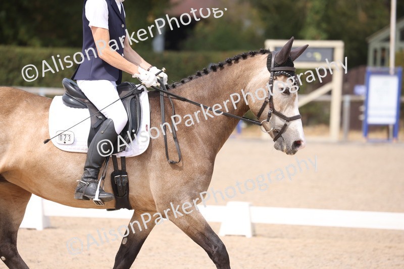 20260816-1142 - Class 4 - Novice 6