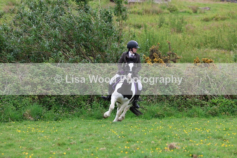 3E7A1531 - Class 8: Ridden Veteran Junoir and Senior