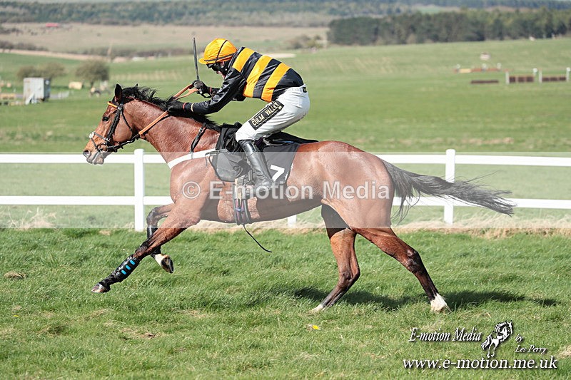 PtP 230324 577 - Tedworth Hunt PtP Larkhill Raccourse 23rd March 2024