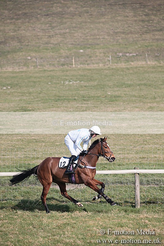 PtP 230219 251 - Vine & Craven Point-To-Point - Barbury 23/02/19