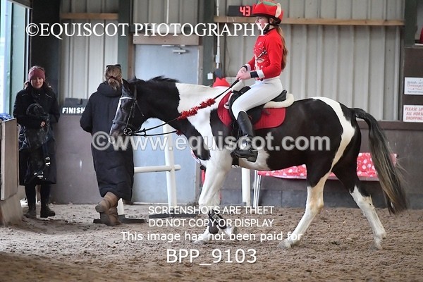 BPP_9103 - CLASS 3 50CM-70CM Pairs Show Jumping
