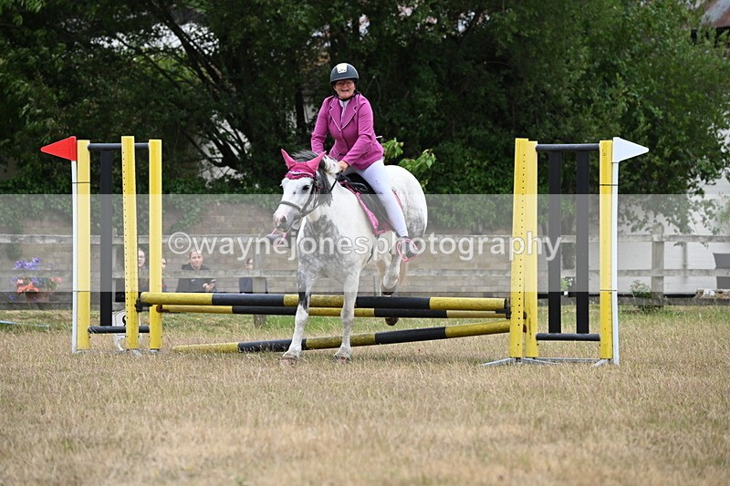 WJ6_0100 - Class 13 Novice Jumping 60cm