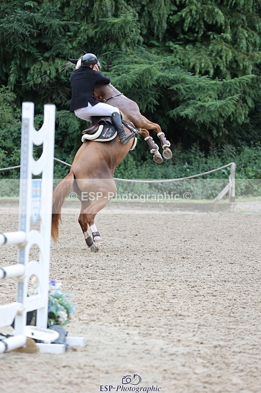 250705A-113937-14114 - Cls 34 4 Year Old Qualifer