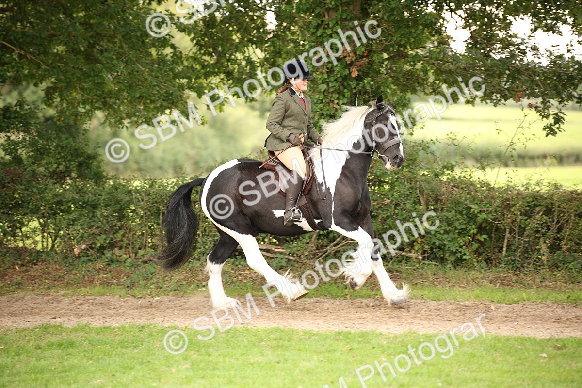 SBM_73439 - S68 - Traditional Cob Ridden