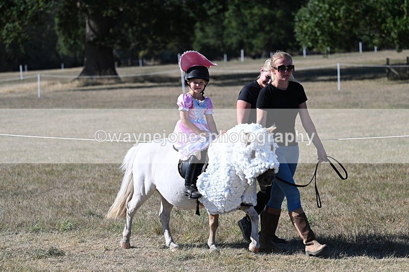 WJ7_2511 - Class 45 Fancy Dress (My Fav)