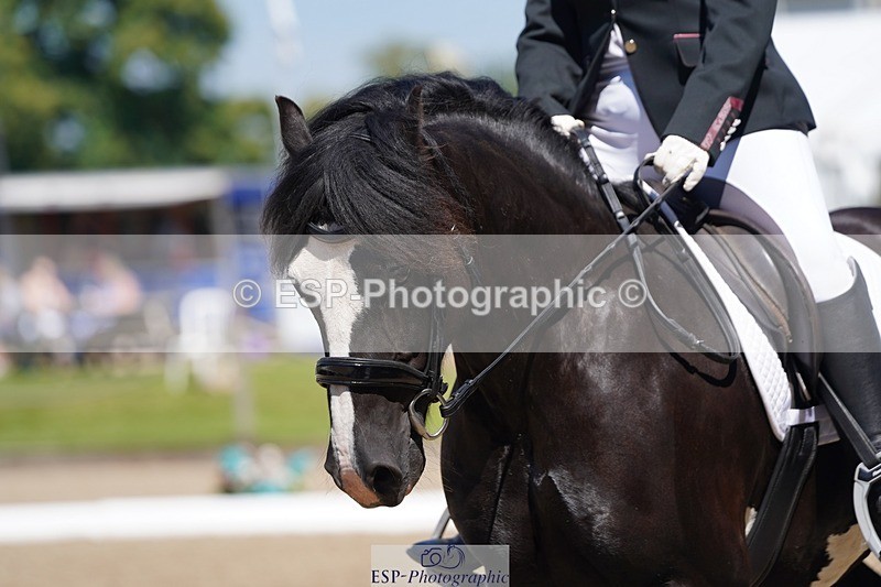 240719-111346-01039 - 113-Amber_Heywood-Walena_Rockocoko