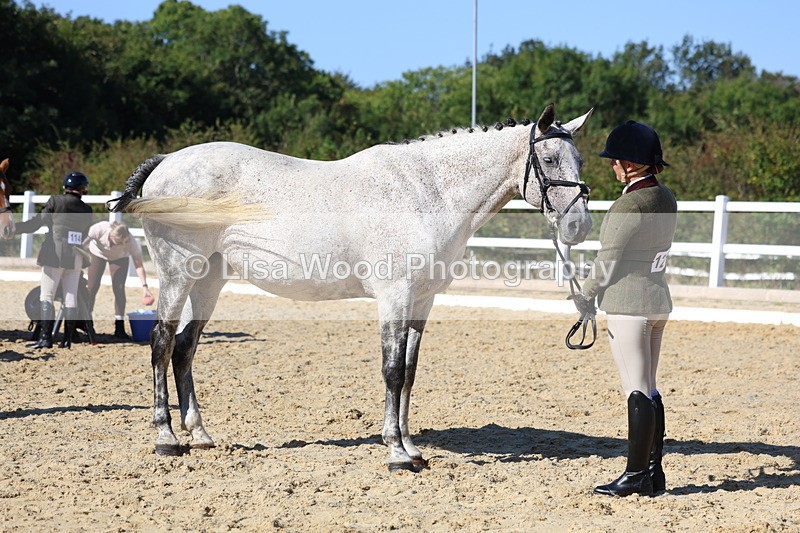 3E7A5550 - Class 9: Open Ridden Hunter