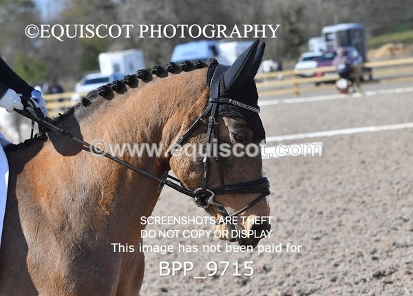 BPP_9715 - MFS PRELIM