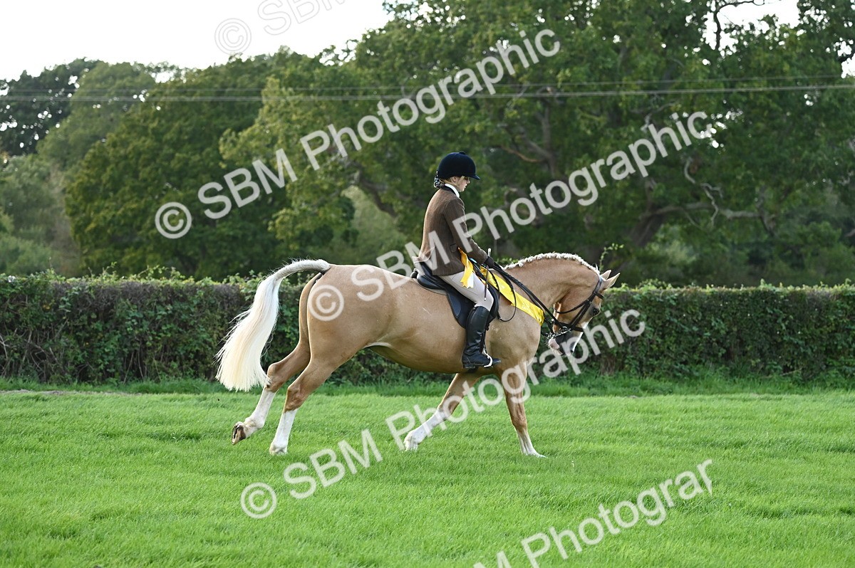 SBM_26507 - S6 - Novice & newcomer Ridden horse