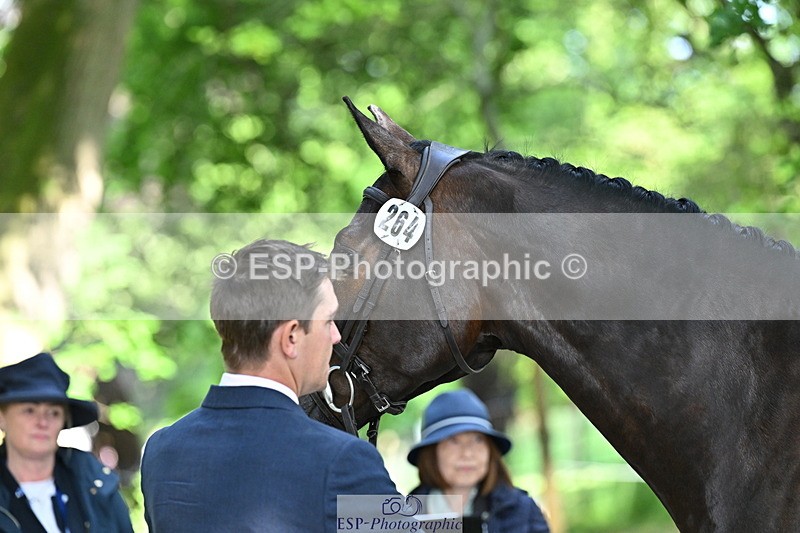 250521A-164921-01358 - C-264-Max.Warburton-EARL.DORADO