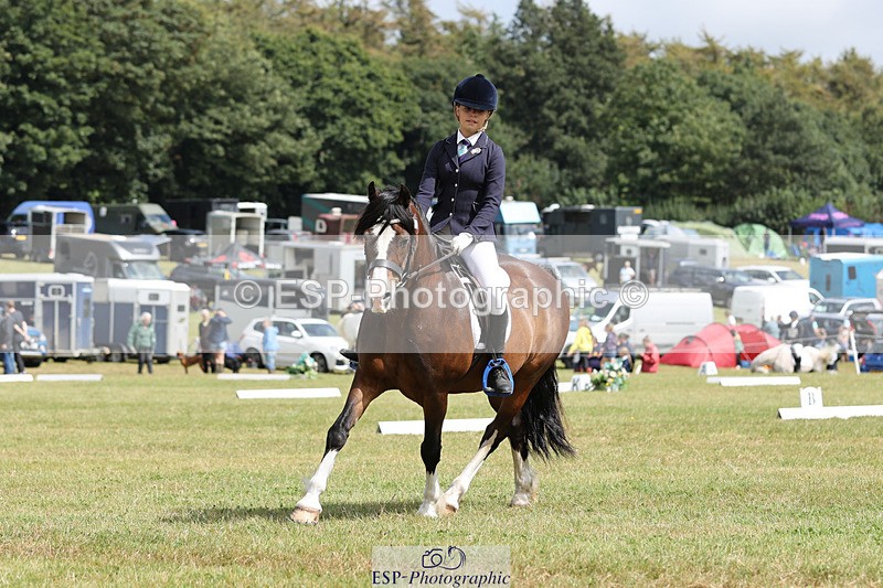 240824X-131951-27288 - D80 Section G and H 12.00 to 13.30