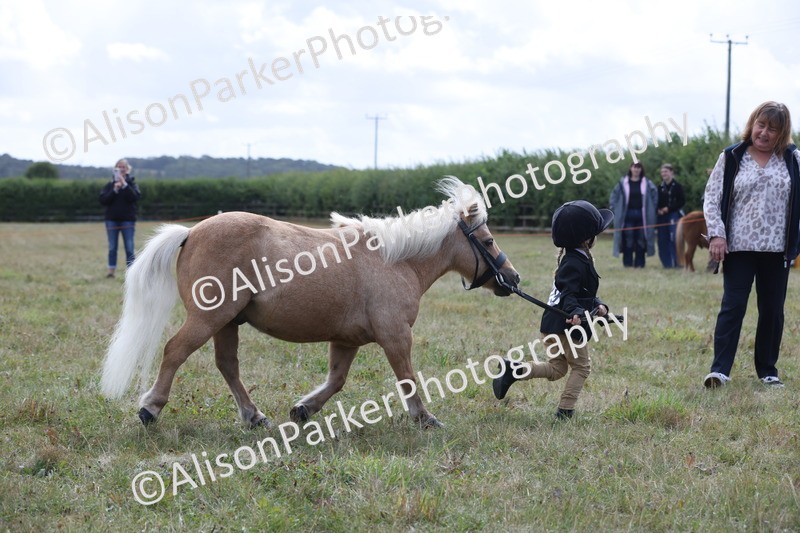 20250831-3049 - Class 23 - Child Handler