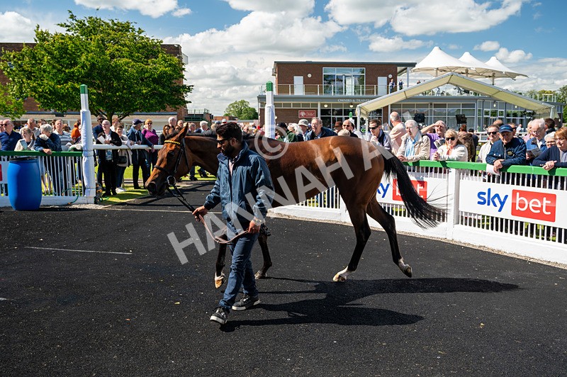 160624-Race 1-Alice Fairfax-5346 - Race 1
