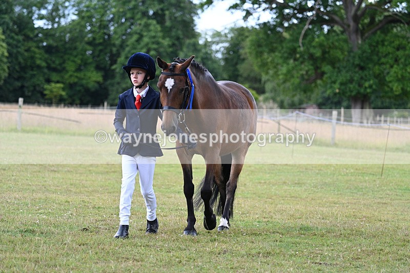 WJ7_7297 - Champs